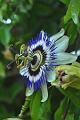 15 07 15_6186_edited-1